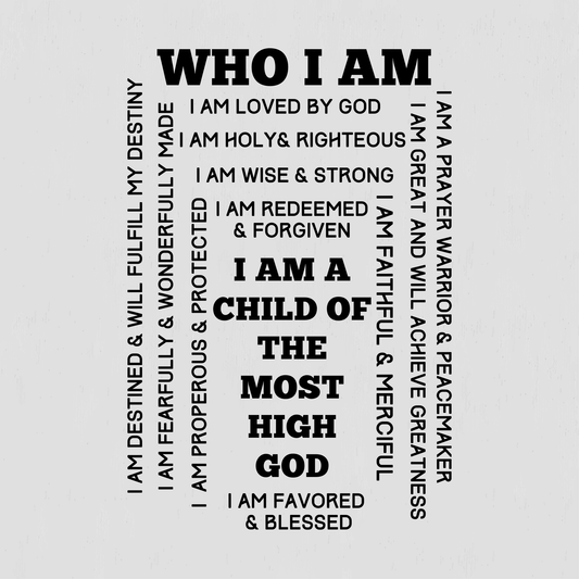 Comfort You Can Feel While Remembering who you are in Christ T-shirt